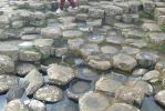 PICTURES/Northern Ireland - The Giant's Causeway/t_Close2.JPG
